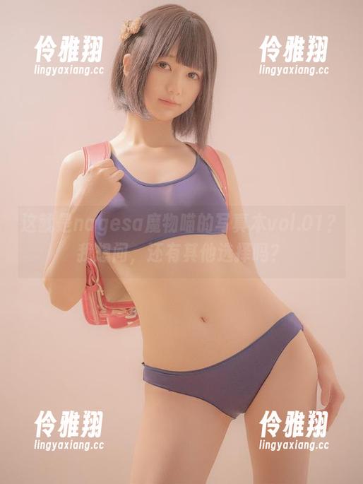 这就是nagesa魔物喵的写真本vol.01？我想问，还有其他选择吗？